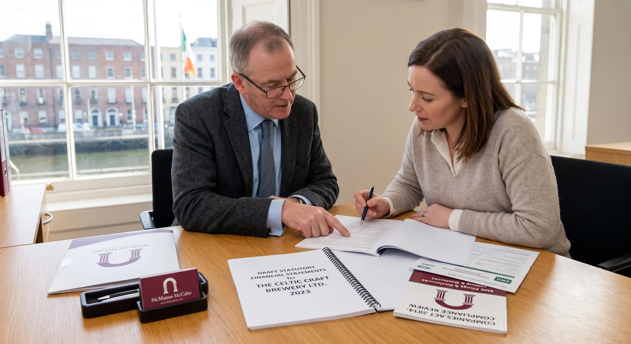 A business owner discussing statutory financial statements and Companies Act compliance with a small business accountant in Ireland.